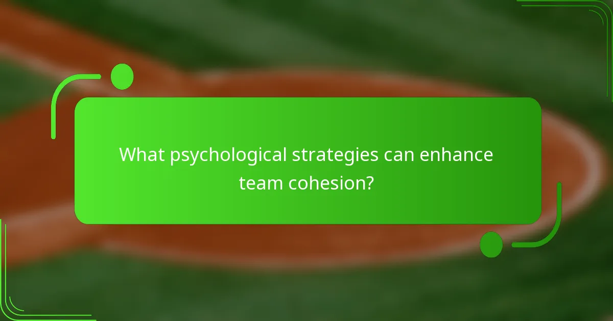 What psychological strategies can enhance team cohesion?
